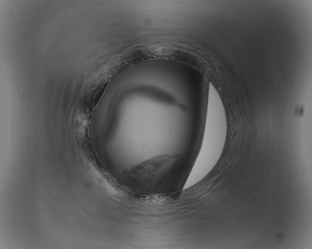 X0000108480235200904241308
