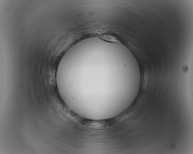 X0000108480236200904241308