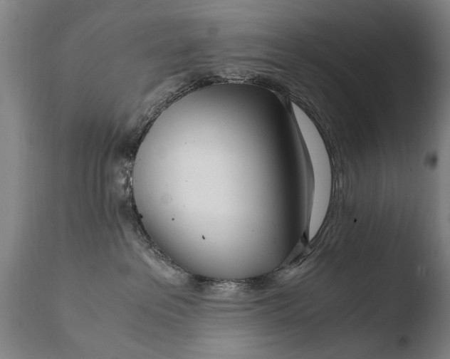 X0000108480237200904241308