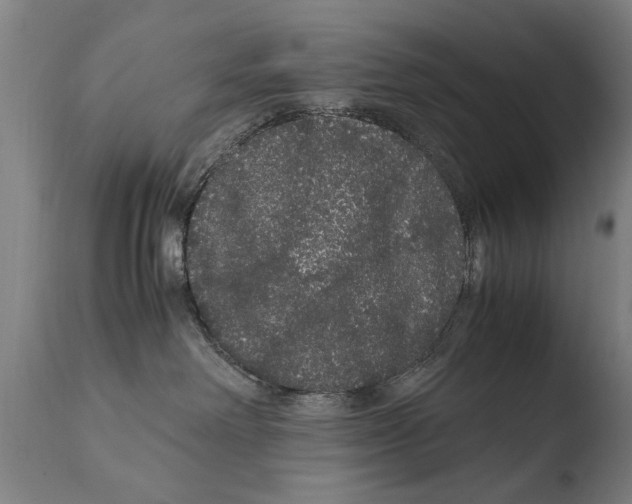 X0000108480238200904241308