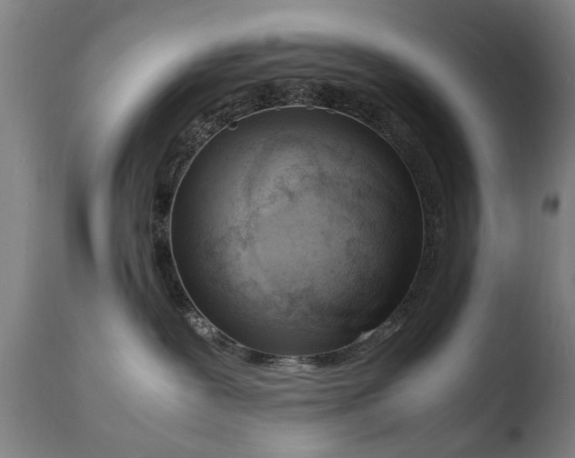 X0000108480239200904241308