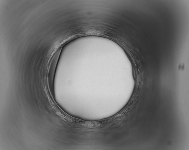 X0000108480241200904241307