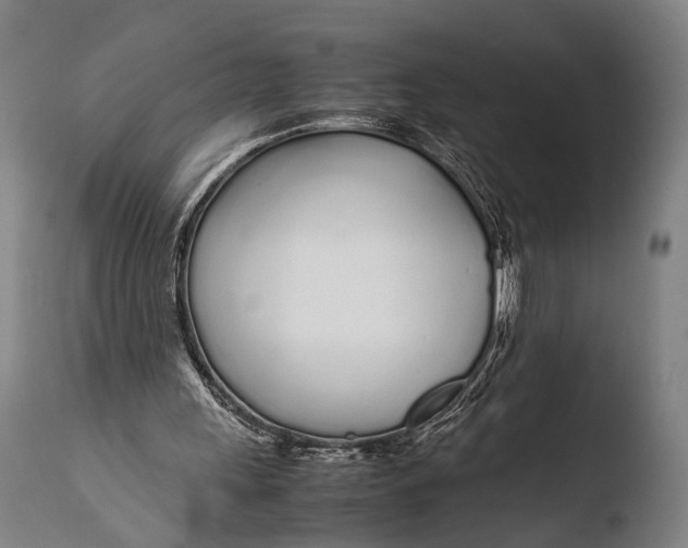X0000108480243200904241307