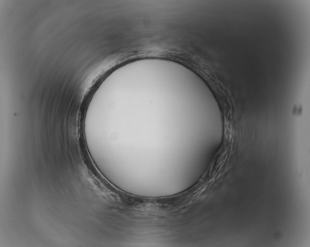 X0000108480244200904241307