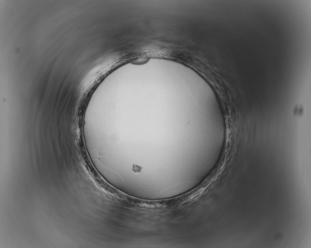 X0000108480245200904241307