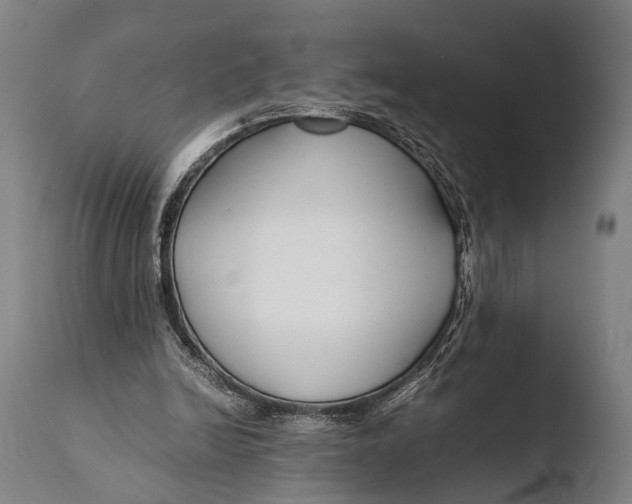 X0000108480246200904241307