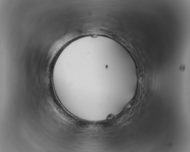 X0000108480248200904241307