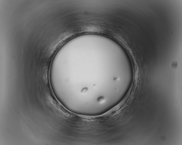 X0000108480249200904241307