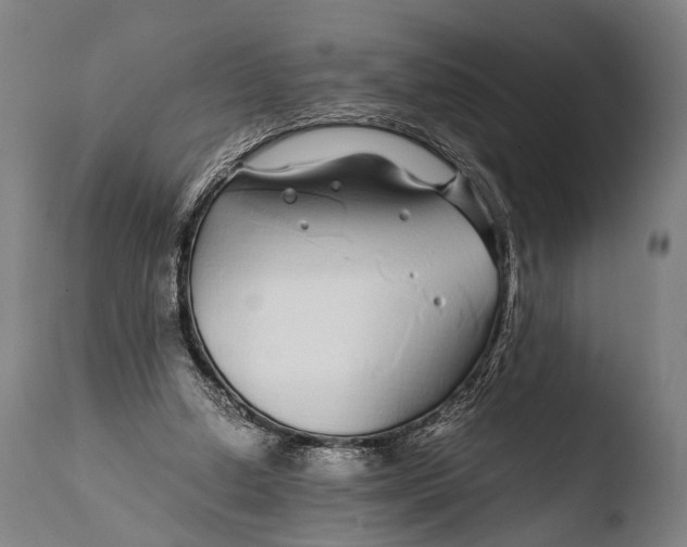 X0000108480250200904241307