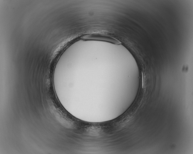 X0000108480252200904241307