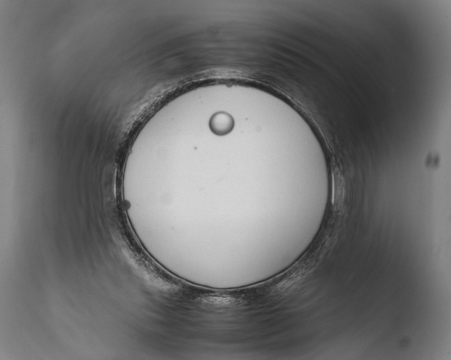 X0000108480253200904241307