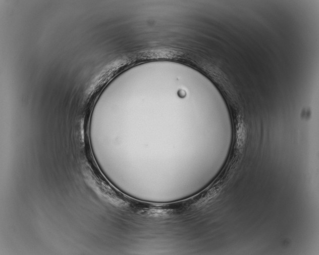 X0000108480254200904241307