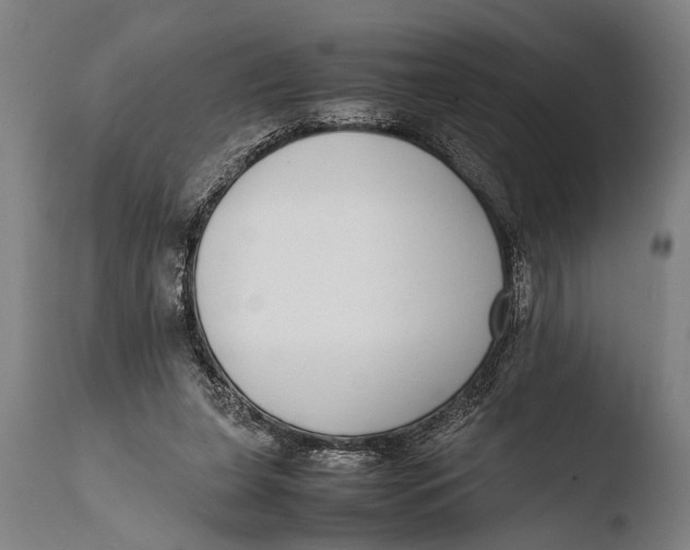 X0000108480255200904241307