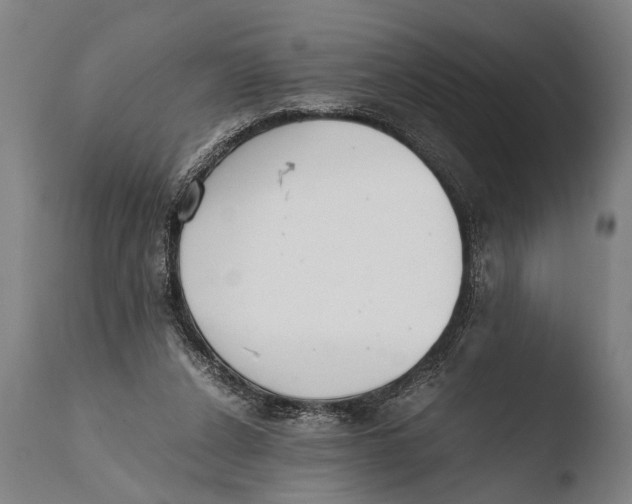 X0000108480256200904241307