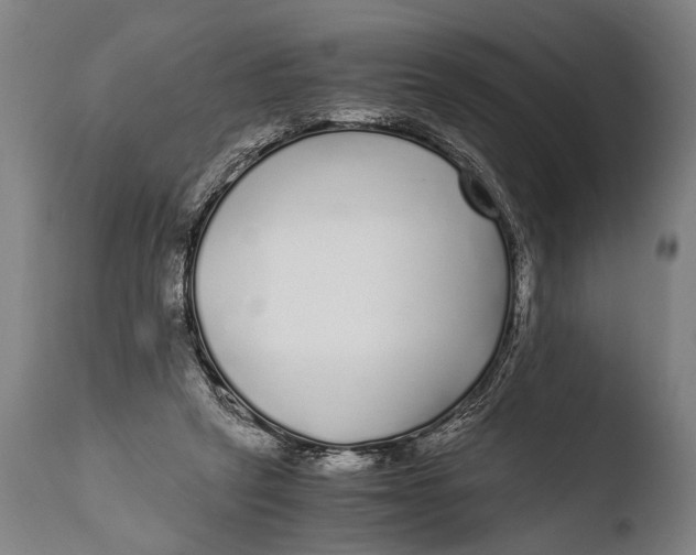 X0000108480257200904241307