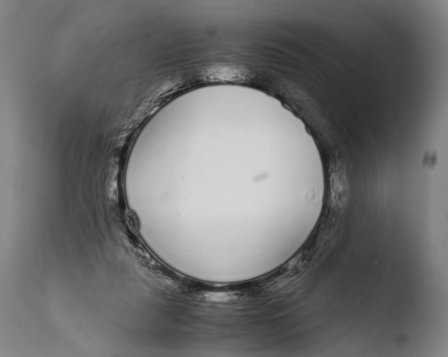 X0000108480259200904241307