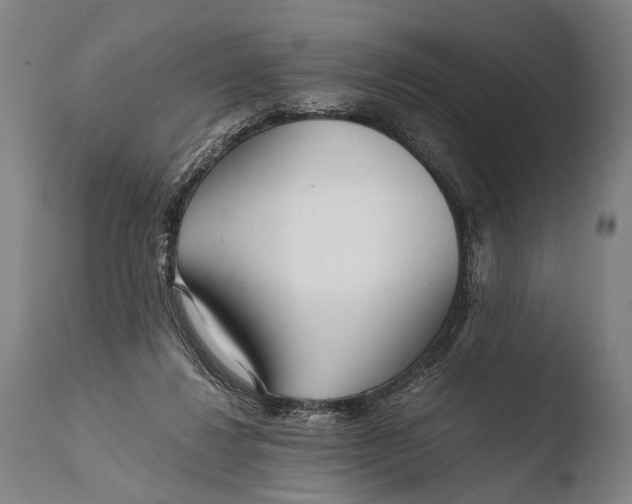 X0000108480260200904241307