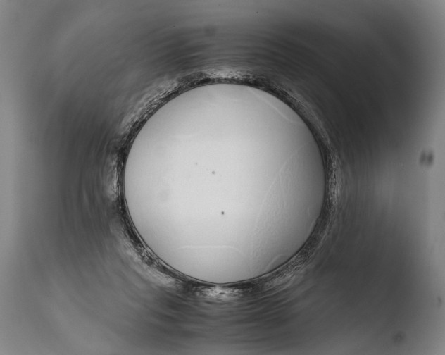 X0000108480261200904241307