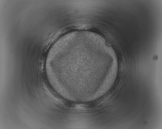 X0000108480268200904241307