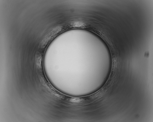 X0000108480269200904241307