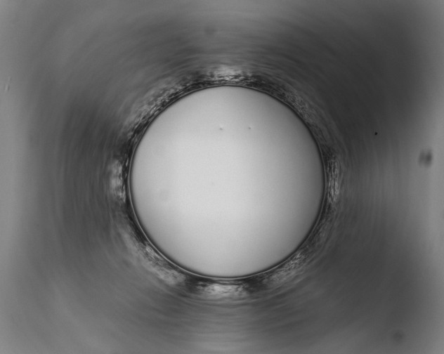X0000108480270200904241307