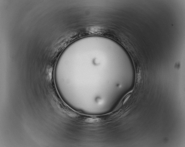 X0000108480271200904241307