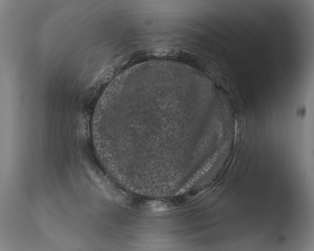 X0000108480272200904241307