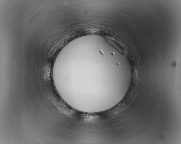 X0000108480274200904241307