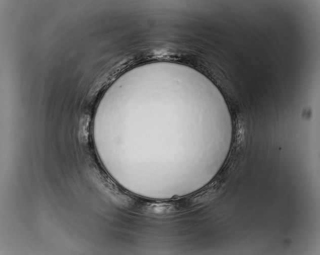 X0000108480275200904241308