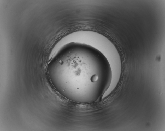 X0000108480277200904241308