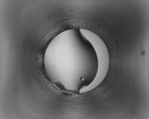 X0000108480278200904241308