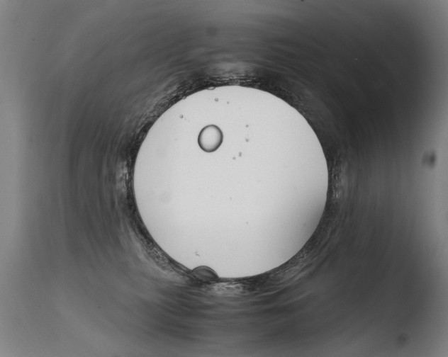 X0000108480279200904241308