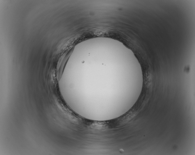 X0000108480280200904241308