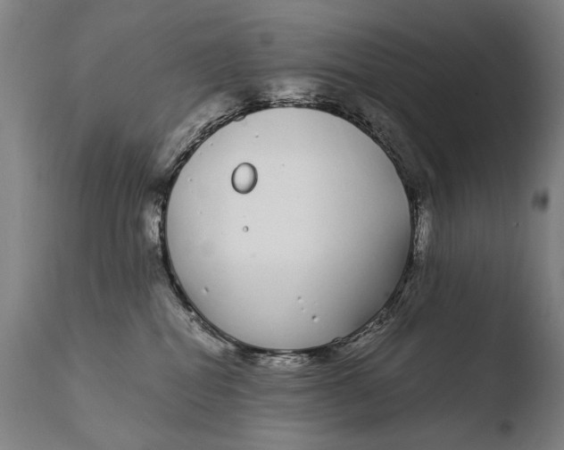 X0000108480282200904241308
