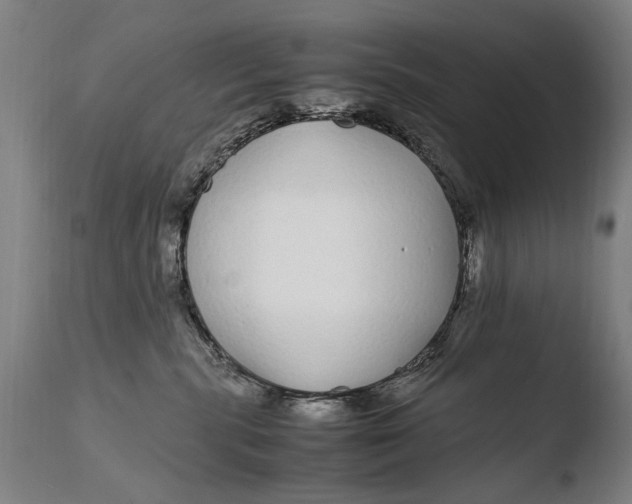 X0000108480283200904241308