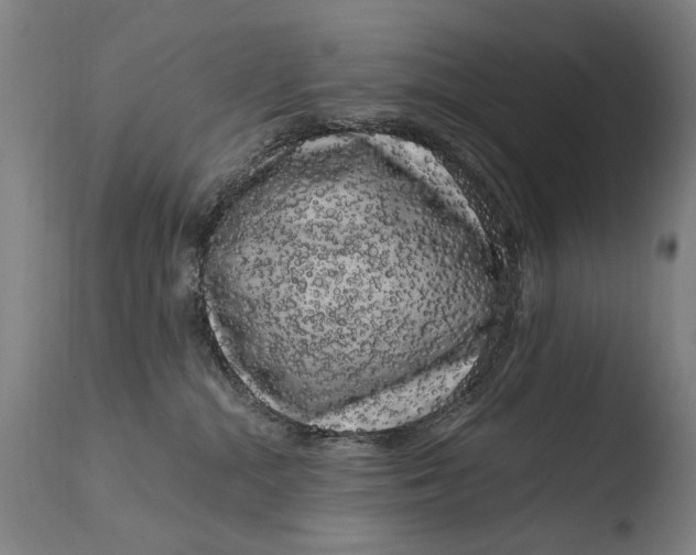 X0000108480284200904241308