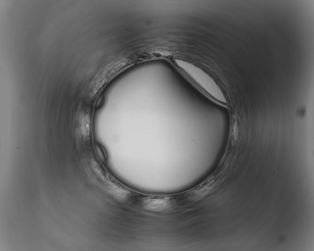 X0000108480285200904241308