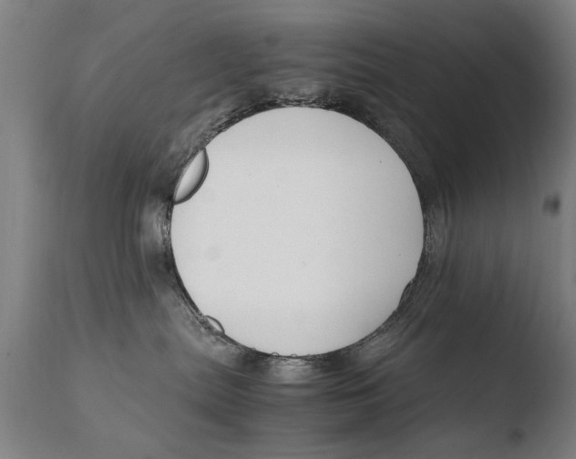 X0000108480287200904241308