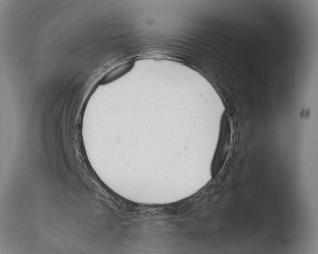 X0000108480289200904241307