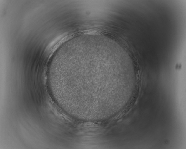X0000108480290200904241307