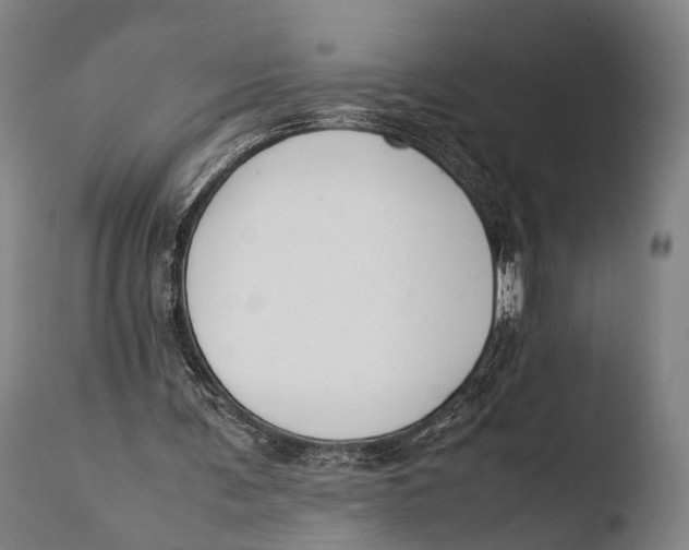 X0000108480291200904241307
