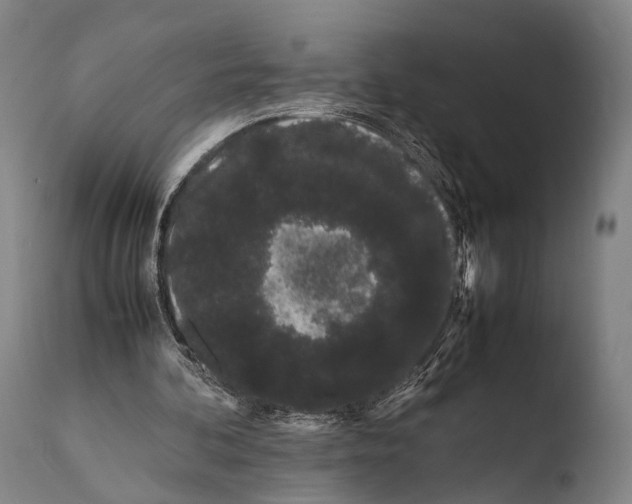 X0000108480292200904241307