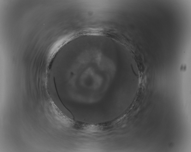 X0000108480293200904241307