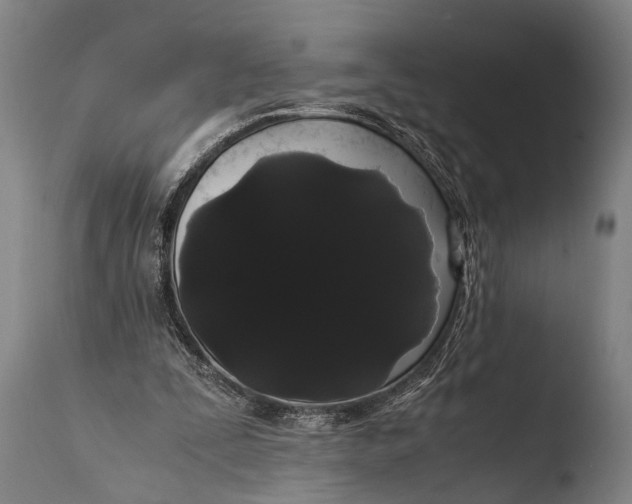 X0000108480295200904241307