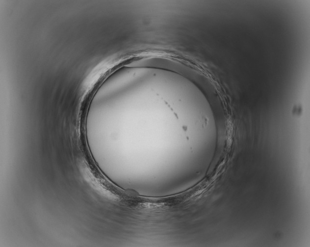 X0000108480296200904241307