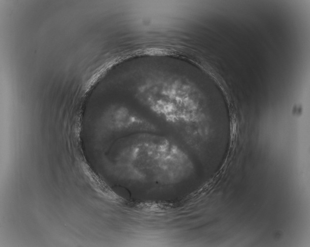 X0000108480297200904241307
