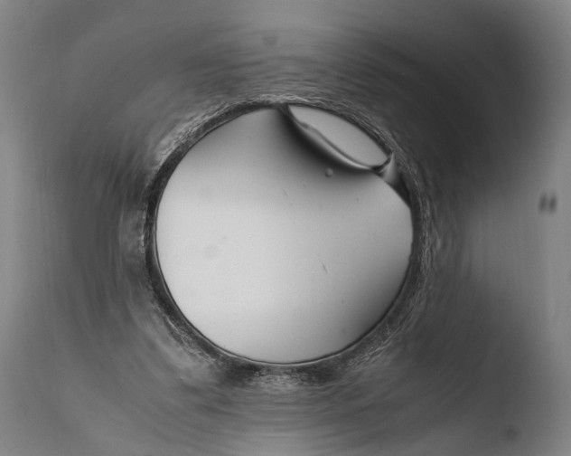 X0000108480299200904241307