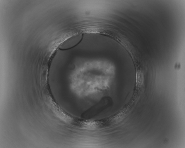 X0000108480301200904241307