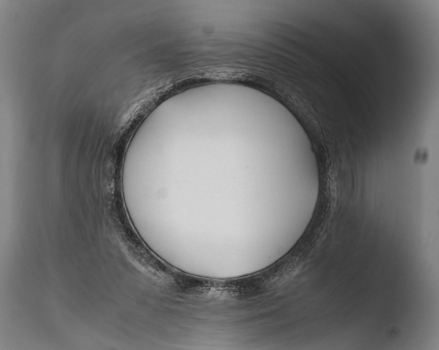 X0000108480303200904241307