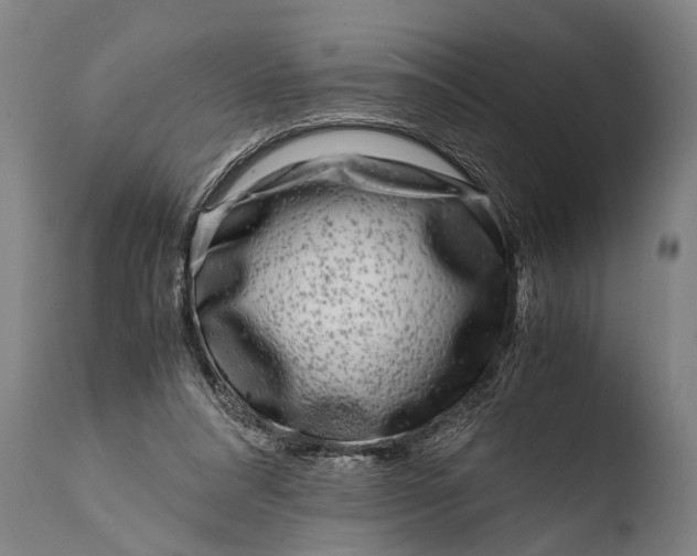 X0000108480304200904241307